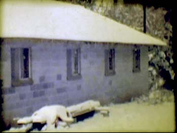 cap036